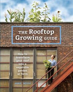 Celebrating the Joys of Rooftop Gardening